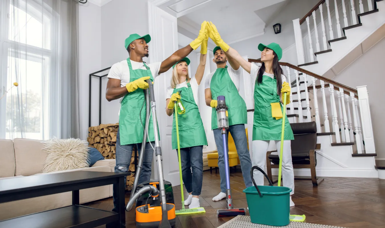 Ev Temizliği